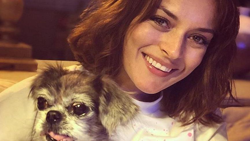 Ezgi Mola: Suratınızı o kakalara yapıştırırsınız