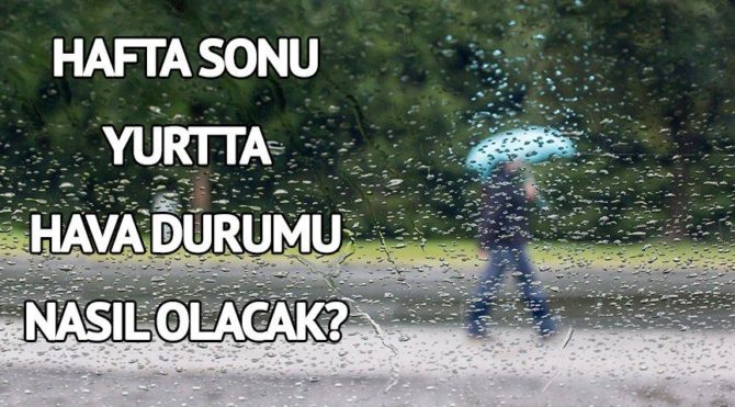 Bir bukette beyaz bir gül ne anlama geliyor Bir bukette beyaz bir gül ne anlama geliyor