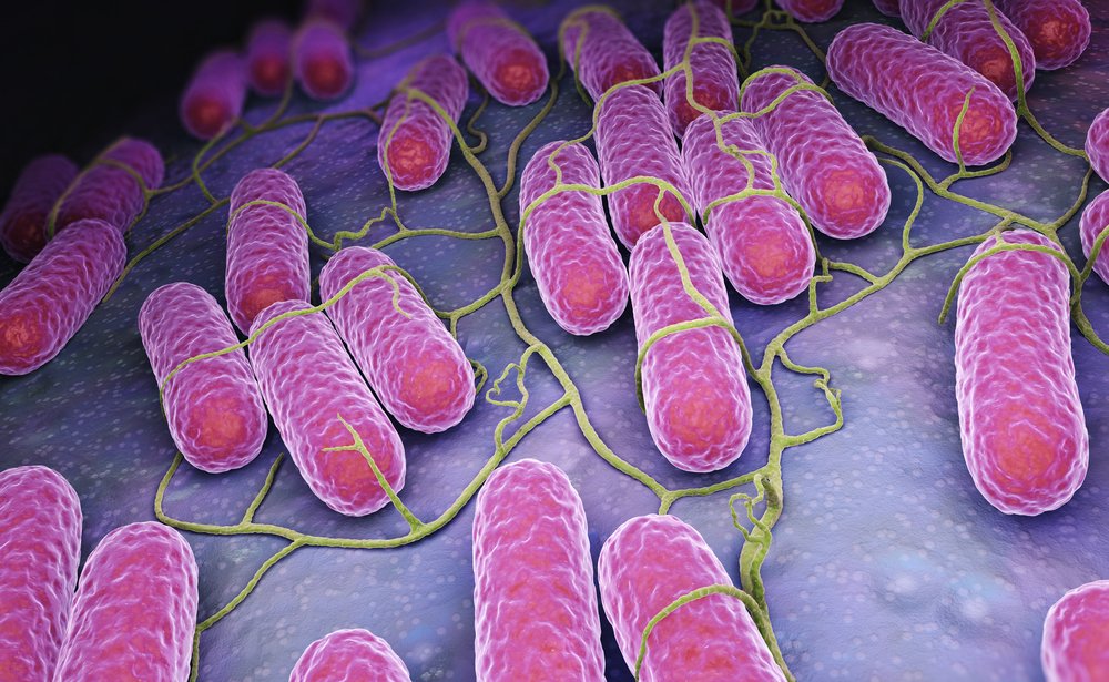Vücutta çeşitli nedenlerle çoğalan Candida mantarı, adet düzensizliğinden egzamaya, şişmanlıktan depresyona kadar birçok hastalığı tetikliyor. Endokrin Cerrahisi Uzmanı Prof. Dr. Yeşim Erbil, bu konuda bilinmesi gerekenleri şöyle sıraladı: