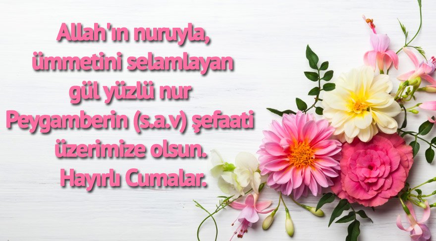 cumaesaj-shutterstock