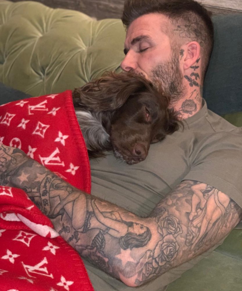 David Beckham