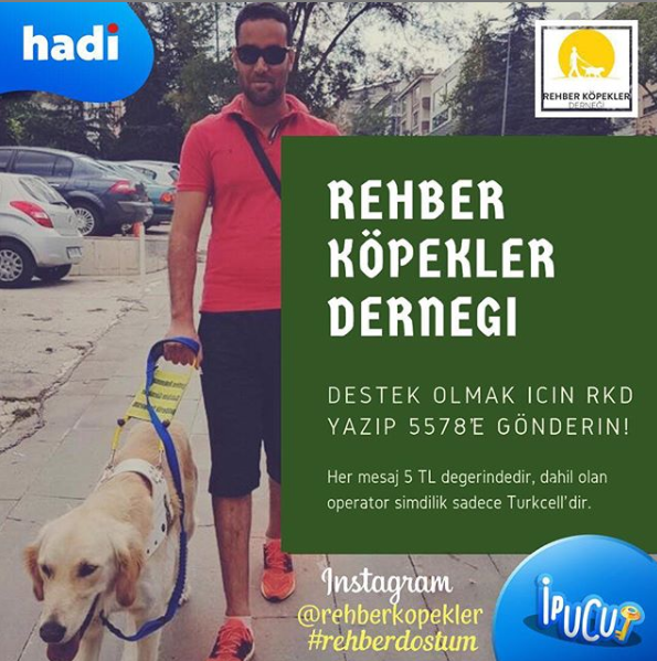 7 Ocak 1230 Hadi ipucu sorusu Görme engellilere refakat eden
