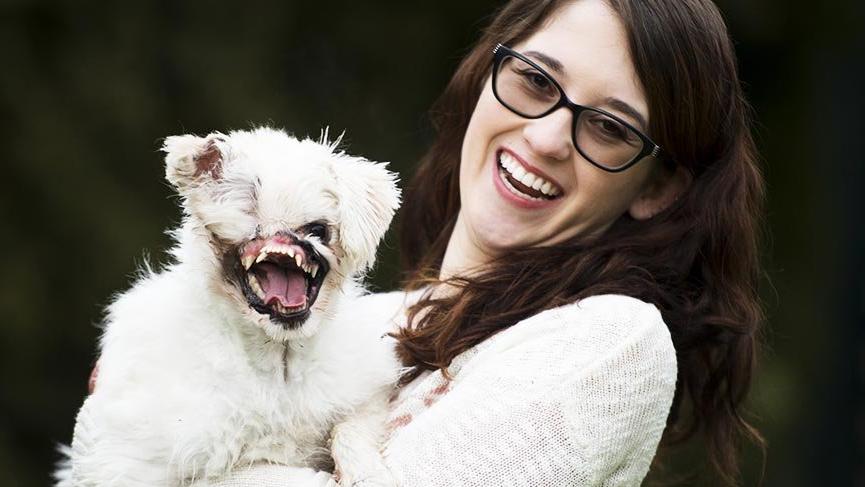 İran’da yüzüne asit atılan köpek, Kanada’da hayata döndürüldü