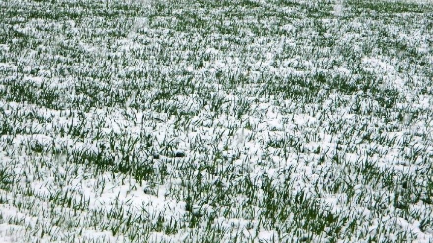 Meteoroloji’den hava durumu uyarısı! Önleminizi alın: Kar, yağmur, fırtına, don geliyor…