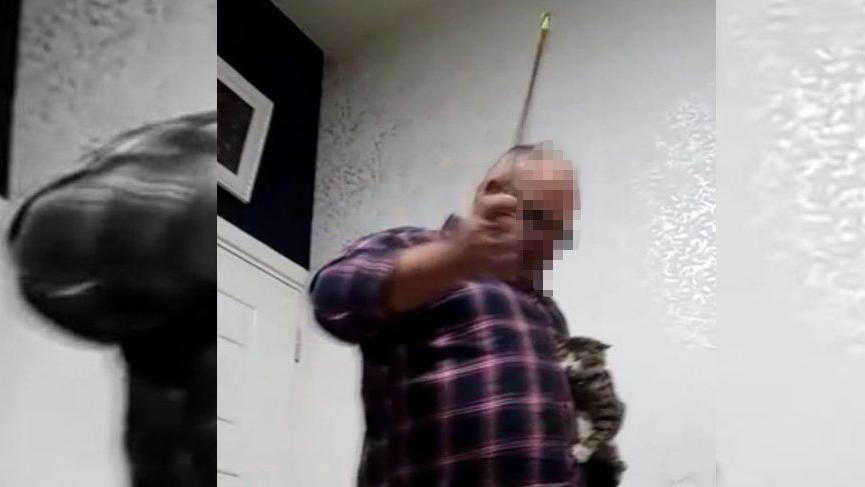 Kediye işkence yapan adam, akıl hastanesine sevk edildi!