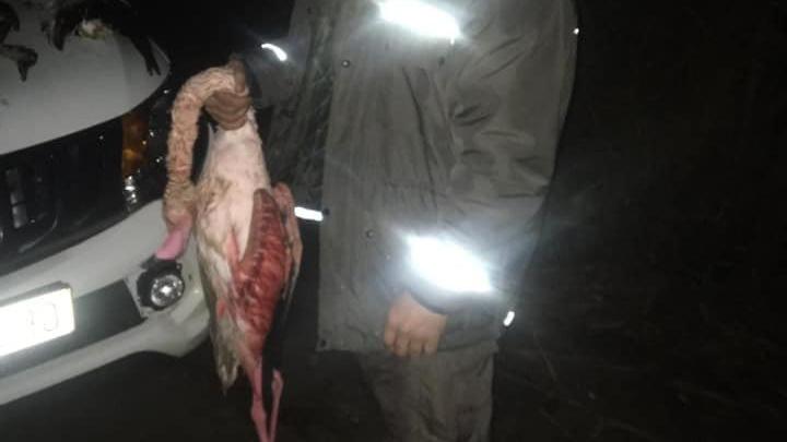 Milli parkta kaçak avlanan 5 kişi yakalandı