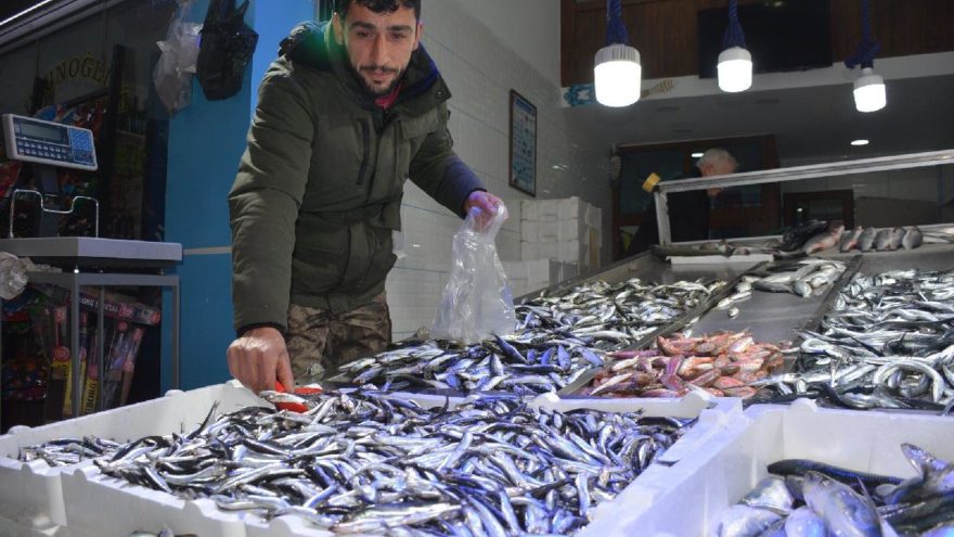 Hamsinin kilosu 25 liraya yükseldi