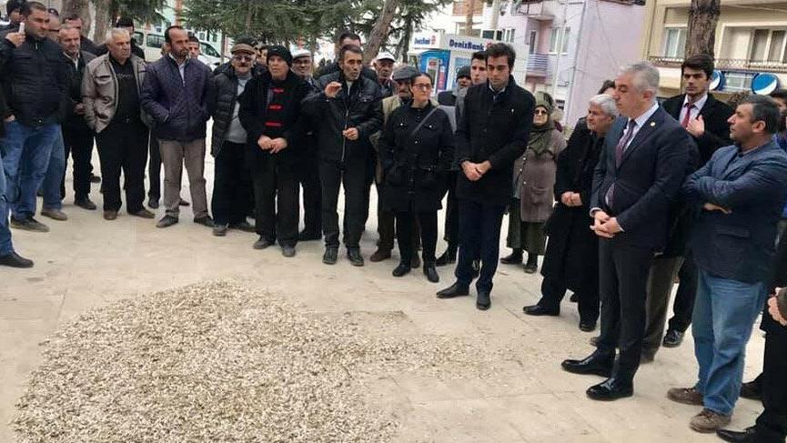 Çiftçilerden Çin çekirdeği tepkisi