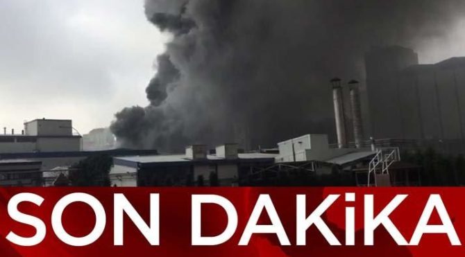 İstanbul'da içki fabrikasında yangın - Son dakika haberleri