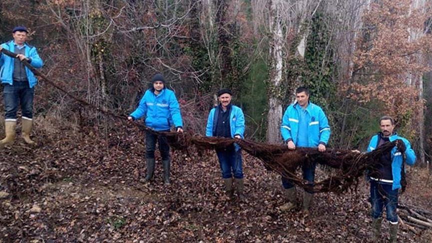 Su borusunun içinden çıktı, tam 8 metre!