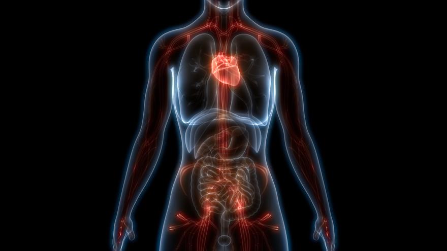 bu 10 ic organiniz olmadan