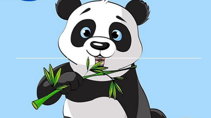 Pandaların olmazsa olmazları nedir?