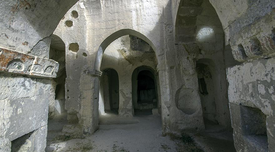 Gomeda Vadisi'nde çok sayıda elma, armut, ayva, erik ve gilaburu ağacı bulunur.