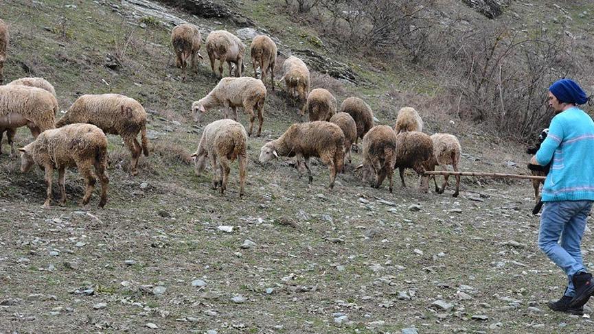 Şehir hayatını terk edip huzuru ormanda buldular