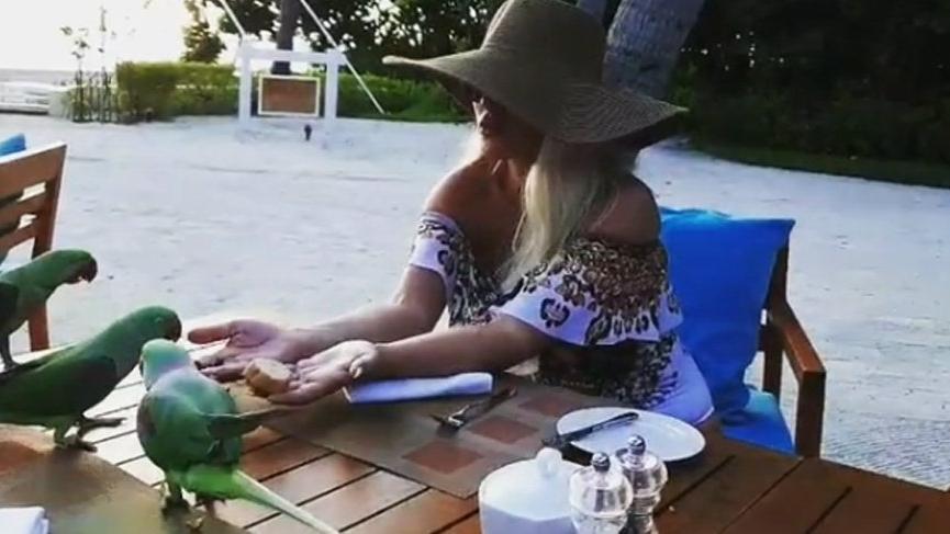 Seren Serengil elleriyle papağan besledi