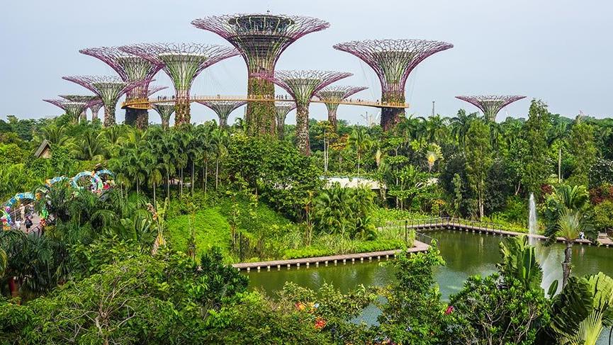 Singapur’un masal diyarı botanik bahçeleri