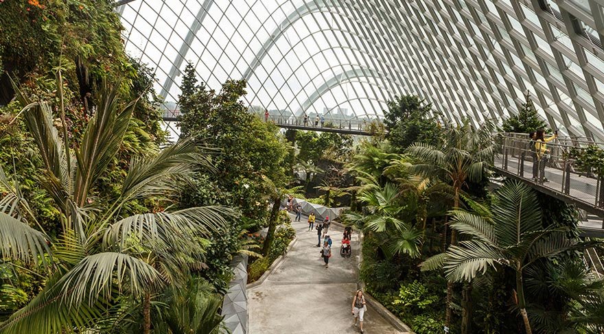 Singapur’da 101 hektarlık alana yayılan Gardens By The Bay, ziyaretçilerini hayran bırakıyor.