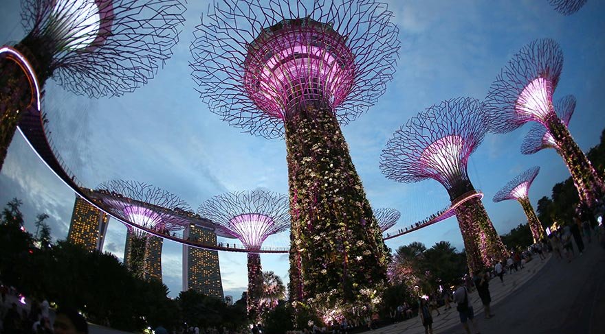 2019 yılında açıklanan rakamlara göre Gardens By The Bay'i açılışından bu yana 50 milyon kişi gezdi.