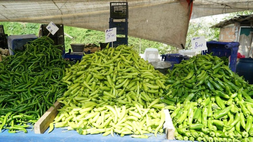 Pazar fiyatlarında düşüş gözlendi