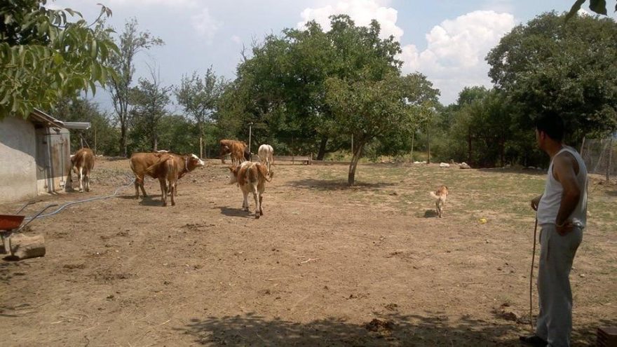 Karabük’te kene korkusu! Aynı aileden iki kişi öldü