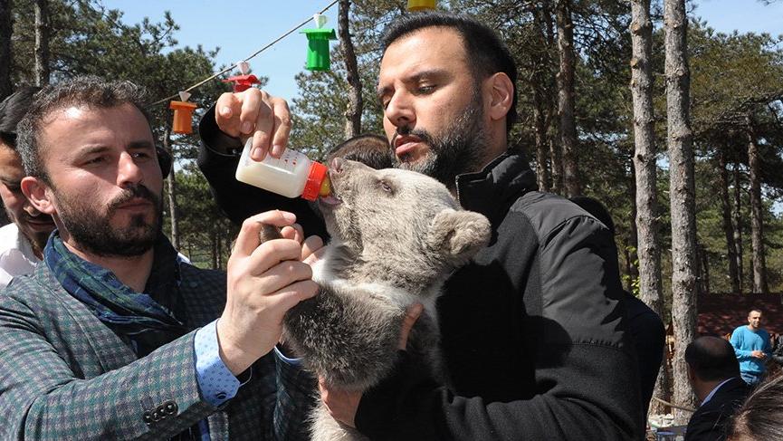 Alişan yavru ayıyı besledi