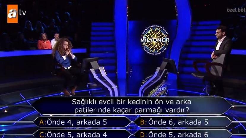 Sağlıklı evcil bir kedinin ön ve arka patilerinde kaçar parmağı vardır?
