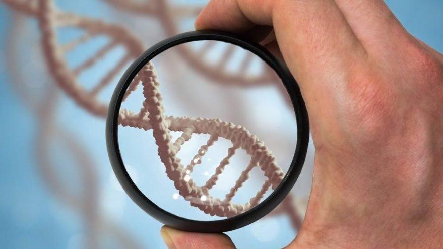 Hadi ipucu sorusu: DNA’nın açılımı nedir? 1 Mayıs Hadi ipucu sorusu ve cevabı…