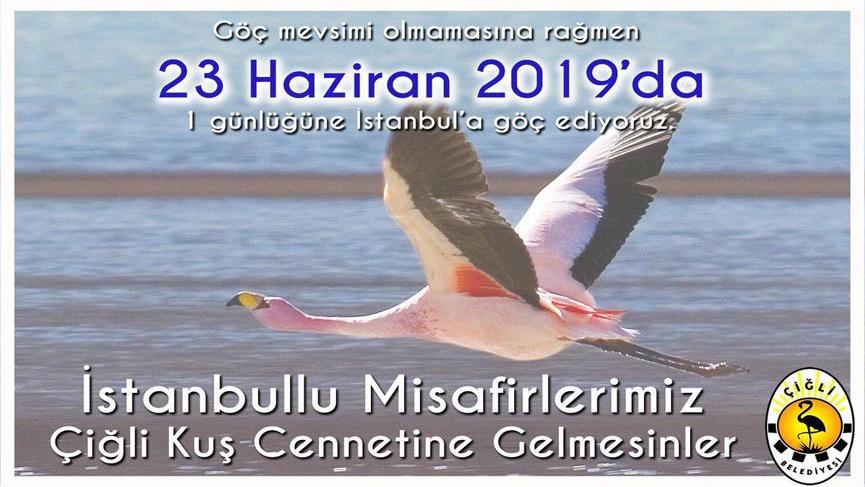 Çiğli’nin flamingoları İstanbul’a göç ediyor