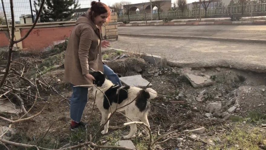 ‘O bir sokak köpeği değil, bir can’