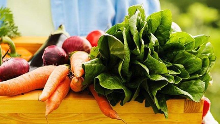 Tarımda bir yılda elde edilen herhangi bir ürünün toplamına ne denir?