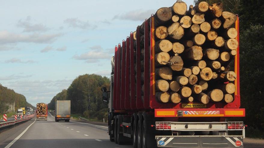 Gabon’da kevazingo skandalı patladı