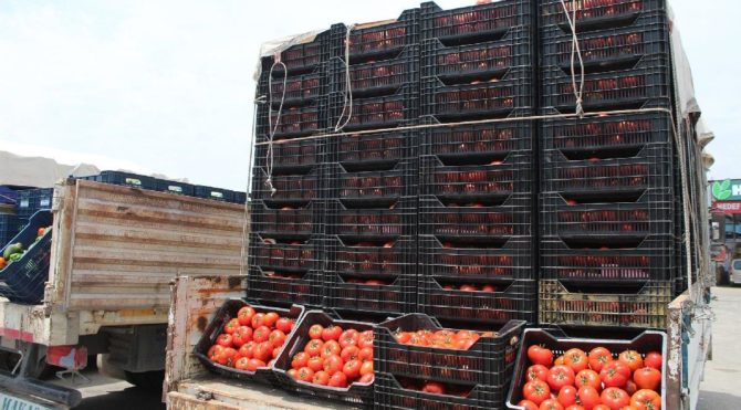 Antalya Hal inde domates 1 liraya kadar düştü