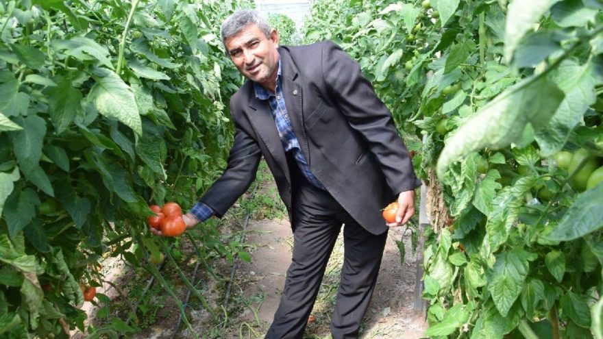 Kış vatandaşa yaz çiftçiye yaramıyor!