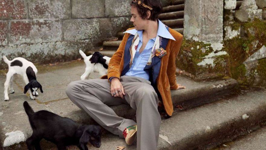 Harry Styles güzellik sektörüne adım attı