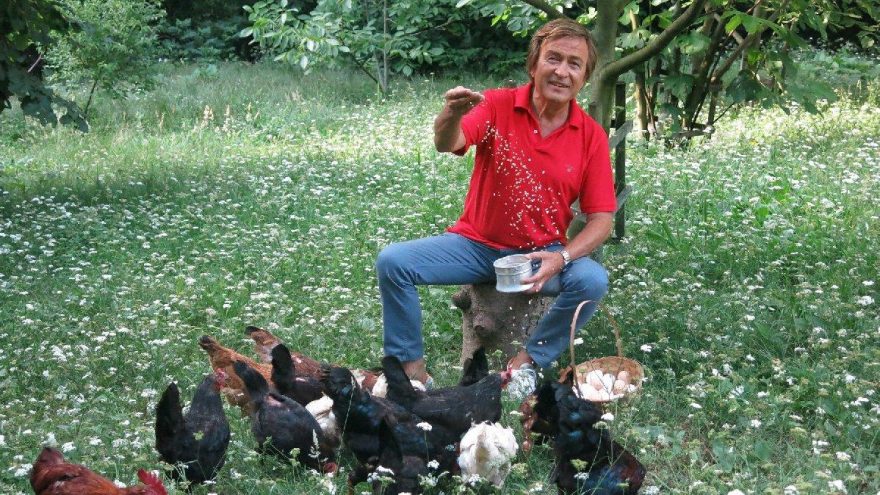 Erol Evgin’in organik yaşamı