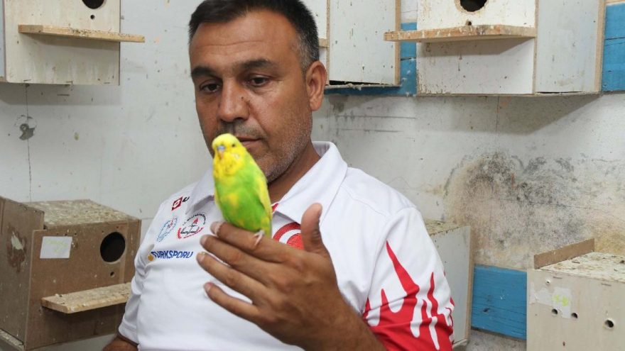 Üç yıl önce iki kuşla başladı!