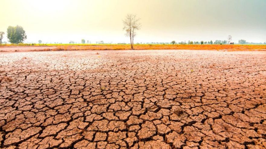 Kritik uyarı: 2050 yılında ısı 3,5 ila 4,7 derece artacak