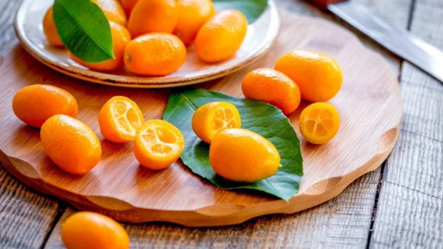 Kamkatın faydaları nelerdir? Kamkatın besin değerleri ve yararları…