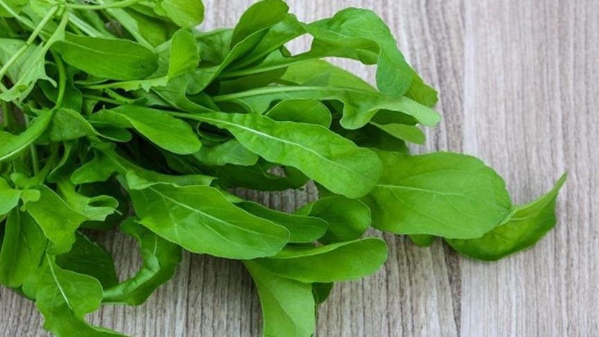 Rokanın faydaları nelerdir? Roka’nın besin değerleri ve vücuda yararları…