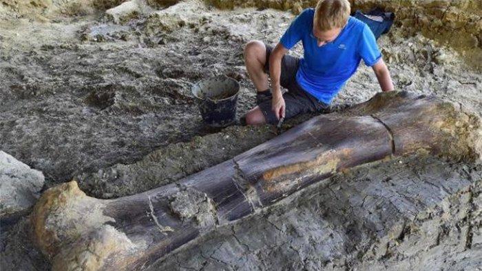 140 milyon yıllık dinozor kemiği