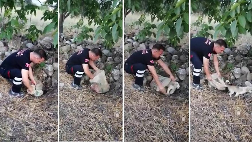 Yavru köpek, ağzı bağlı çuvalla yol kenarına bırakılmış