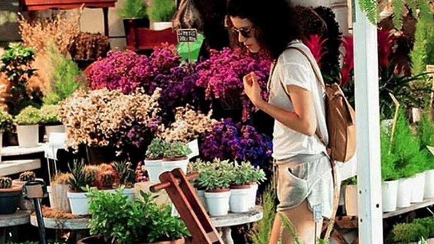 ‘Bal arısı Beren Saat’