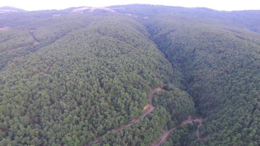Kaz Daglari Ndan Sonra Sira Iznik Te Mi Son Dakika Haberleri