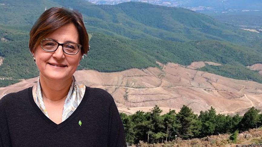 TEMA’dan Kaz Dağları uyarısı: “Siyaset üstü bir durumdur”
