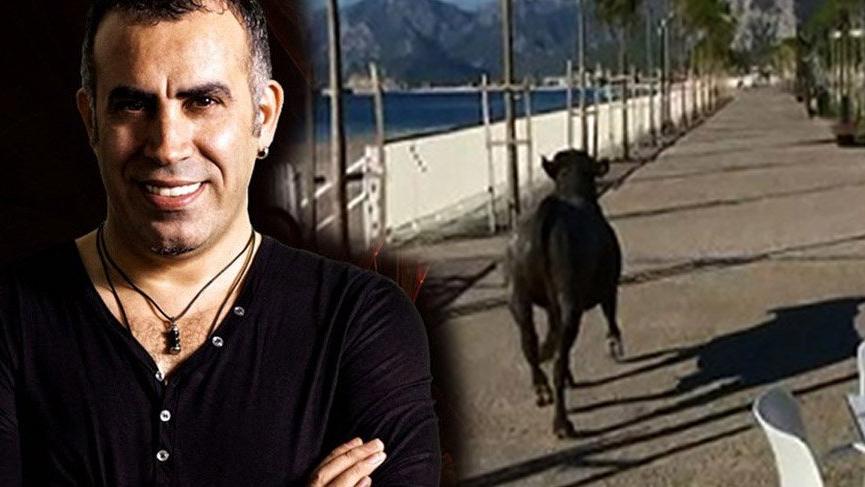 Haluk Levent’ten kaçan kurbanlarla ilgili paylaşım