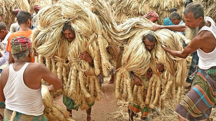 Bangladeş’in altın ipliği: Jüt