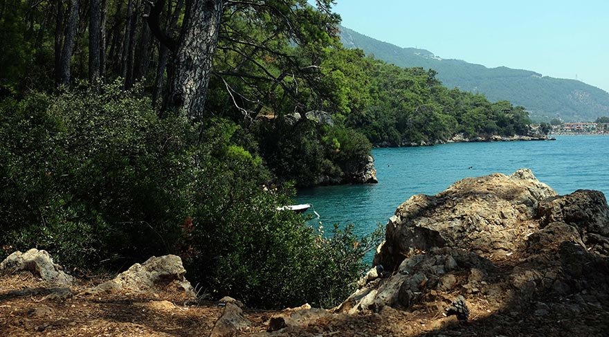 Su samurundan deniz kaplumbağasına kadar onlarca hayvan türü ile bazıları tropikal iklimlerde yetişen farklı bitki çeşitlerine ev sahipliği yapan dereyi tekne ve kanolarla gezen turistler, bu bitki ve hayvan türlerini görme fırsatı bulabiliyor.