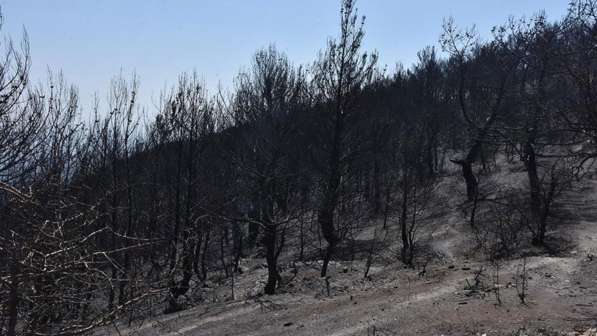 Karabağlar'daki yangından geriye kapkara bir tablo kaldı