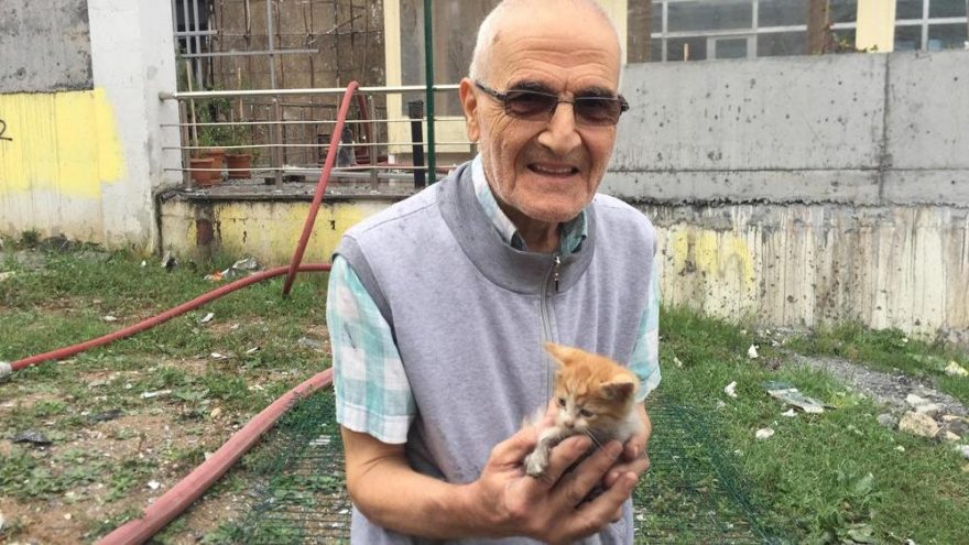 Kediler için hayatını tehlikeye atan Mehmet Amca’dan acı haber