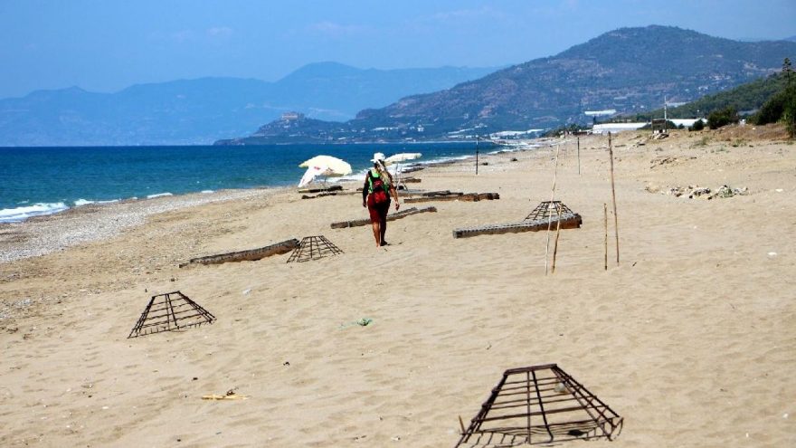 Kum zambağı ve carettalar için imza kampanyası